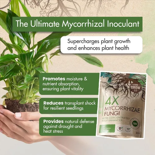 Miniatura 4 de Micorrizas 4X de 4 onzas para plantas – Inoculante de micorrizas – Potenciador de raíces y Myco concentrado, micorrizal superior para plantas, polvo