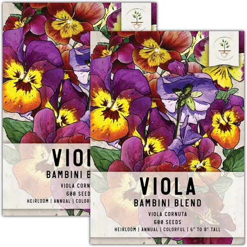 Miniatura 19 de Seed Needs Johnny Jump Up Semillas para plantar violas, reliquia y flores polinizadas abiertas para plantar un jardín de mariposas lleno de flores