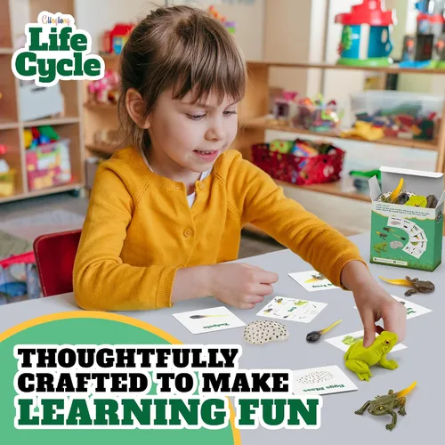 Miniatura 4 de Kit de ciclo vital Montessori - Juguetes de figuras realistas, animales de rana a juego de animales, rellenos de cesta de Pascua para niños