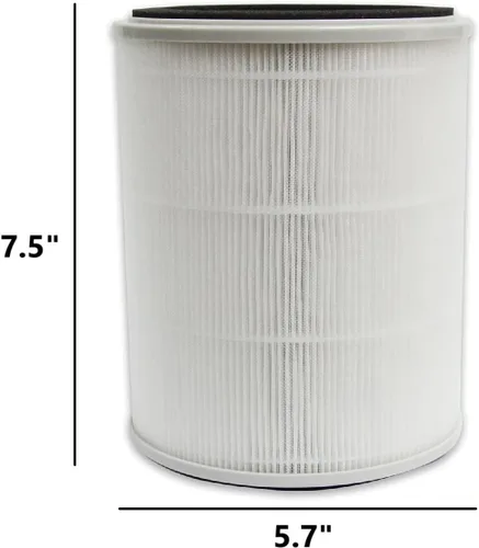 Miniatura 3 de PUREBURG Filtro de repuesto TPAP001 compatible con el purificador de aire TOPPIN Comfy Air C2, paquete de 2 unidades de carbón activado H13 True