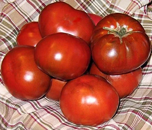 Miniatura 6 de Más de 30 semillas de tomate Paul Robeson, reliquia sin OMG, bajas en ácido, indeterminadas, polinizadas abiertas, sabor rico, de Estados Unidos