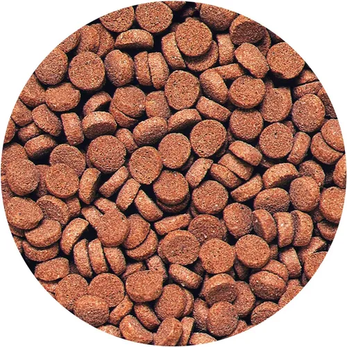 Miniatura 3 de Hikari Pellets Carnívoros Hundibles para Mascotas, 2.61 Onzas