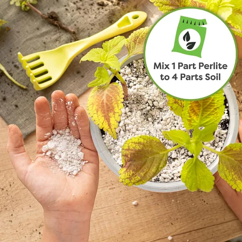 Miniatura 5 de Perlita Orgánica de Perfect Plants — 4 cuartos. Aditivo Natural para Tierra de Plantas de Interior y Exterior en Contenedores — Drenaje Mejorado