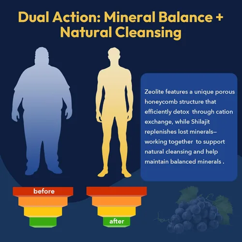 Miniatura 6 de Gotas de Desintoxicación de Zeolita Rhytherolixian – Mineral Shilajit con Ácido Fúlvico y Húmico Limpieza de Hígado e Intestino Suplemento