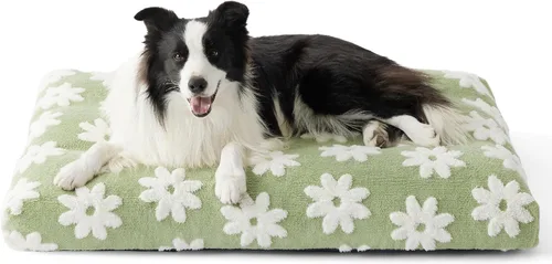 Miniatura 24 de LE SURE - Cama pequeña para perro con espuma triturada gruesa, cama para interiores con funda afelpada extraíble y base antideslizante, verde