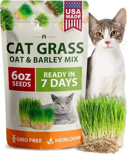 Miniatura 13 de HOME GROWN Mezcla de 3 semillas de hierba para gatos – Semillas de avena, alfalfa y hierba de gato sin OMG Hierba interior para gatos Verdes