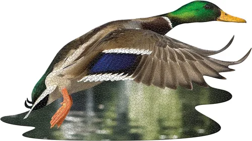 Miniatura 5 de Madd Capp Puzzles - I AM Duck - Rompecabezas de 1000 piezas con forma de animal, multicolor