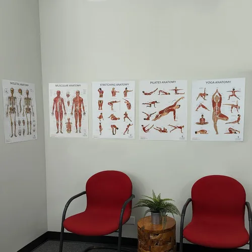Miniatura 7 de Anatomy Lab Póster muscular, esquelético, yoga, estiramiento y pilates, anatomía y fisiología – Paquete de 5 LAMINADO 17.3 x 22.5 pulgadas, tabla