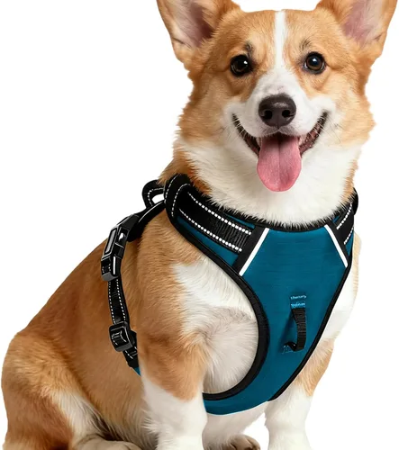 Miniatura 70 de Arnés para perro sin tirones, chaleco reflectante ajustable y acolchado para mascotas con asa de fácil control, fácil de llevar con nudo elegante