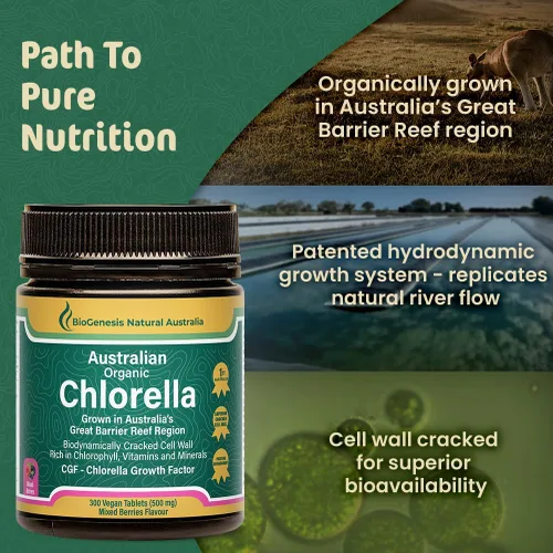 Miniatura 5 de Biogenesis Tabletas orgánicas de Chlorella – 300 unidades (500 mg) bayas mixtas Cultivado en Australia Pared celular agrietada BioDynamic Rico