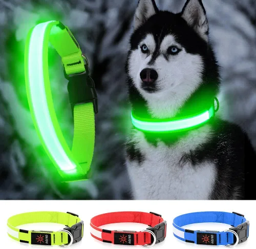 YFbrite Collar de perro LED ajustable ultraligero, collares de perro con luz recargable que brilla en la oscuridad, collares de visibilidad y Verde