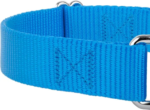Miniatura 8 de Country Brook Petz - Collar para perro de nailon resistente Martingala azul hielo y correa de doble asa (1 pulgada, grande)
