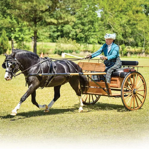Miniatura 2 de Breyer Nistar Blazing Kansas LOM y GTF Blazing Ethel 1857, negro