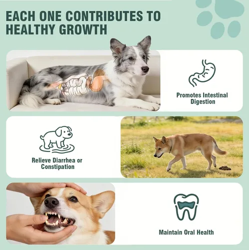 Miniatura 4 de Probióticos para perros, 200 masticables suaves, apoyan la salud intestinal, alivio de la diarrea, alergias estacionales, masticables probióticos