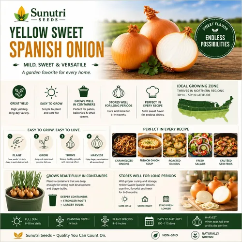Miniatura 9 de Semillas de cebolla española dulce amarilla para plantar – Variedad de cebolla bulbante de día largo – Cebollas dulces suaves grandes para jardines
