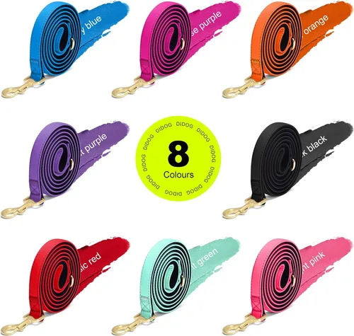 Miniatura 2 de Didog Correa para perro de nailon colorido de 5 pies con acolchado suave de longitud completa, ligera y duradera para perros pequeños, negro, S