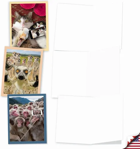 Miniatura 4 de The Best Card Company - Tarjetas de animales en blanco en caja, 4 x 5.12 pulgadas, mascotas surtidas, zoológico, tarjetas de vida silvestre