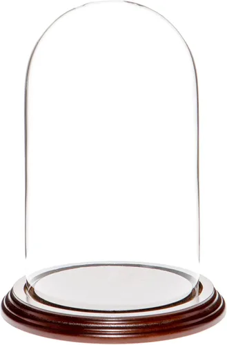 Miniatura 7 de Plymor Cúpula de cristal de 4.5" x 8" (base de chapa de roble)