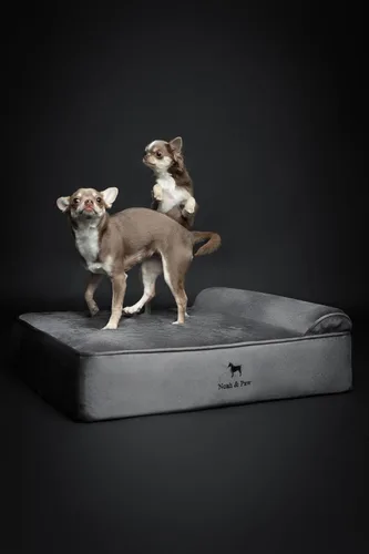 Miniatura 3 de NOAH & PAW Cama para Perro, 28x23x7.5 Pulgadas, Camas Ortopédicas para Perros de Tamaño Mediano, Espuma Viscoelástica Tipo Cáscara Infundida con Gel