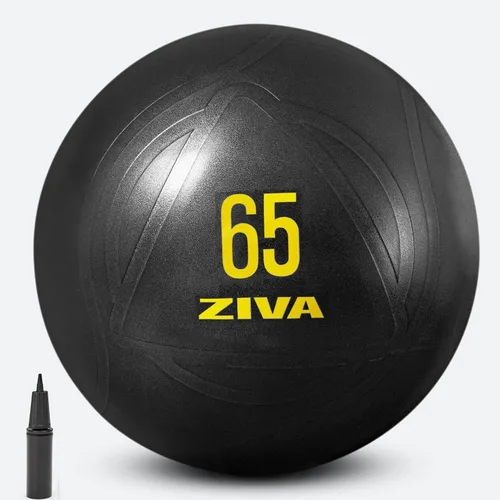 Miniatura 2 de Ziva Pelota de ejercicio de fitness con núcleo antiestallido, pelota de yoga antideslizante de grado profesional para equilibrio de estabilidad