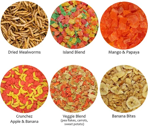Miniatura 2 de Surtido de 6 golosinas para mascotas con mezcla de frutas secas, insectos secos y otros crujientes - Para planeadores de azúcar, erizos, ardillas