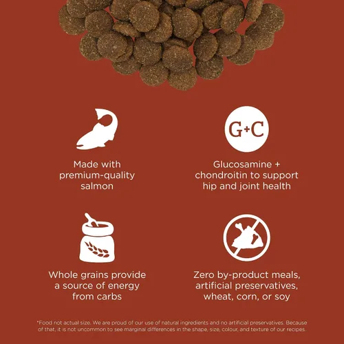 Miniatura 4 de Go! Solutions Skin + Coat Care - Alimento seco para perros de raza grande con granos, sin pollo, croquetas saludables, glucosamina y condroitina