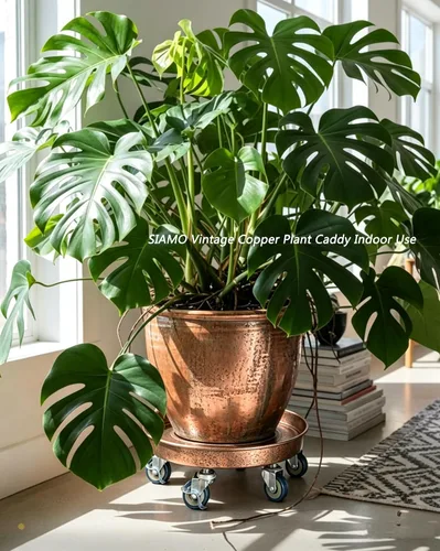 Miniatura 4 de SIAMO Carrito de plantas resistente de 14 pulgadas (capacidad de 400 libras), ruedas giratorias con cerradura antiarañazos, platillo rodante