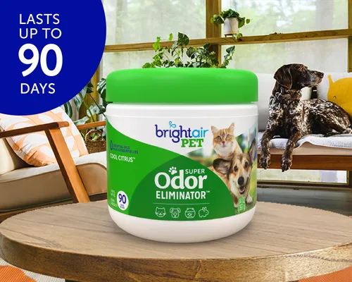 Miniatura 3 de Bright Air 14 oz. Super eliminador de olores, para espacios medianos, aroma de cítricos frescos, caja de 6, ambientador, aceites esenciales