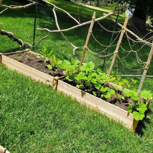 Miniatura 3 de Kit de cama de jardín, caja de jardín de madera, kit de maceta de madera de 8 pies para patio trasero y patio
