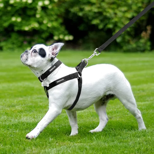 Miniatura 5 de Arnés para perro sin tirones, arnés ajustable, correa y collar para perros pequeños, medianos y grandes, arnés suave a prueba de escapes