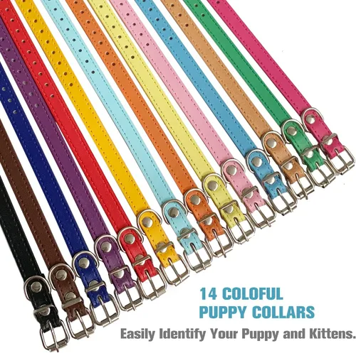 Miniatura 3 de Collares para Cachorros para Nido - 12 Colores Collar de Identificación Ajustable de Cuero para Perros Pequeños, Medianos y Grandes