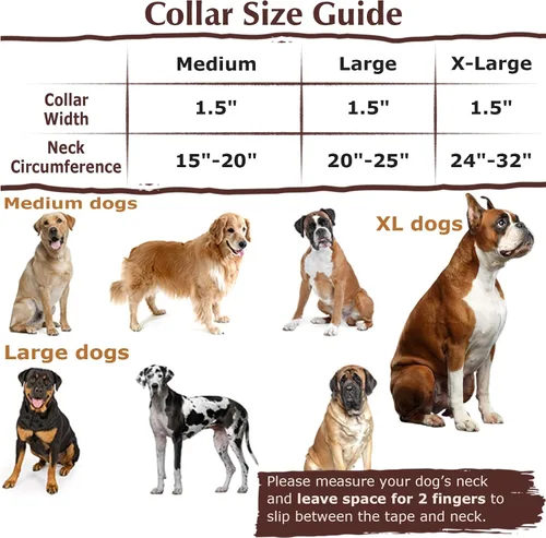 Miniatura 3 de Collar Martingale para Perro de 1.5 Pulgadas de Ancho - Diseño de Calavera Extra Resistente para Perros Grandes, Collar de Entrenamiento Ajustable