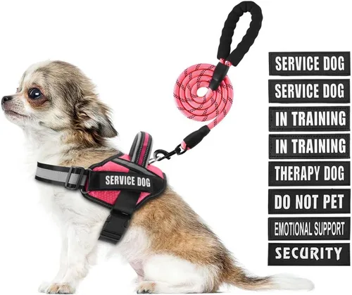 Miniatura 30 de Juego de arnés y correa para perro de servicio, arnés de entrenamiento para perro Animire con 10 parches para perros, correa reflectante para perro