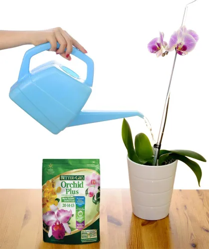 Miniatura 10 de Sun Bulb 8303 mejor Gro Orquídea Plus, 16 onzas