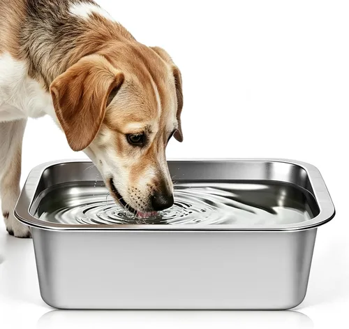 Cuenco de agua grande de acero inoxidable de 1.25 galones, cuenco de agua para perros al aire libre, cuencos metálicos de alta capacidad para perros