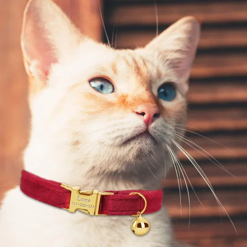 Miniatura 2 de Collar de gato personalizado con placa de nombre, collares ajustables de nailon resistente para identificación de gato con campana, personaliza