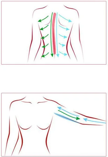 Miniatura 5 de Rodillo corporal de mano para tratamiento de celulitis, herramienta de masaje de terapia magnética para relajación muscular y alivio del dolor