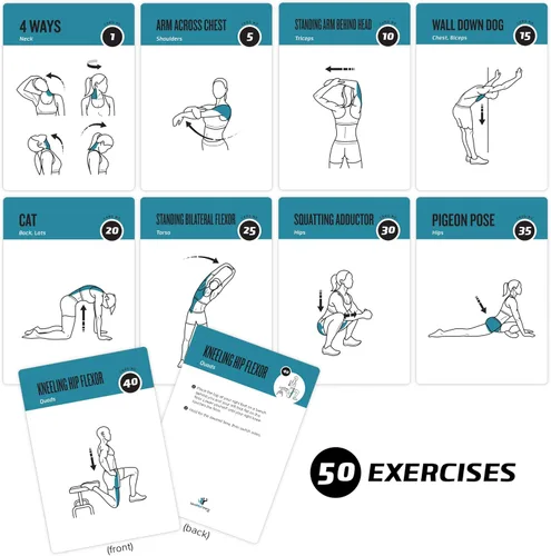 Miniatura 2 de NewMe Fitness Tarjetas de entrenamiento de estiramiento, baraja de instrucciones de entrenamiento para mujeres y hombres, guía de fitness