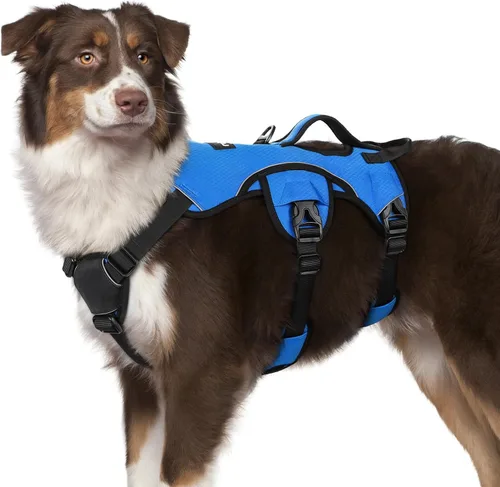 Miniatura 44 de rabbitgoo - Arnés para perro a prueba de fugas, arnés para mascotas acolchado suave de cuerpo completo, chaleco reflectante ajustable sin tirones
