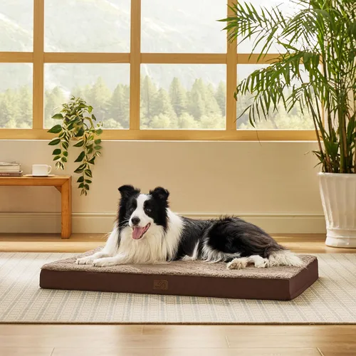 Miniatura 50 de Bedsure Camas para Perros Tamaño Grande - Cómodas Camas Planas para Mascotas con Funda Lavable Extraíble, Alfombrilla de Espuma Ortopédica