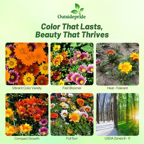 Miniatura 2 de Outsidepride New Day Bright - Semillas mixtas de Gazania para plantar, 50 piezas de semillas perennes, de bajo mantenimiento, tolerantes a la sequía