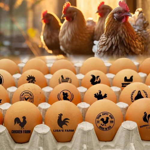 Miniatura 6 de ORYG Sellos de huevos personalizados, sello de huevo personalizado de larga duración, marcadores de diseño increíble, sellos de huevos grandes