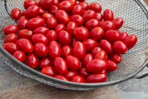 Miniatura 2 de Paquete híbrido de frijoles de tomate - Aprox. 30 semillas