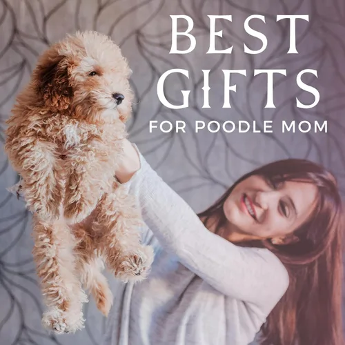 Miniatura 3 de Huglanket Regalos de caniche para mujer, la mejor manta única de franela de caniche para mamá caniche, 50 x 65 pulgadas, agradable a la piel, regalo