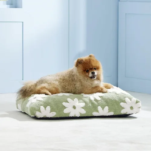 Miniatura 6 de LE SURE - Cama pequeña para perro con espuma triturada gruesa, cama para interiores con funda afelpada extraíble y base antideslizante, verde