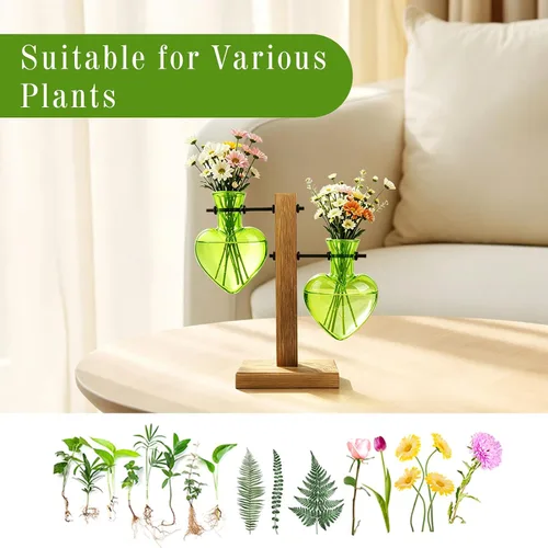 Miniatura 5 de XXXFLOWER Estación de propagación de terrarios de plantas, regalos para mamá, hija, esposa, amante de las plantas, bombilla hidropónica