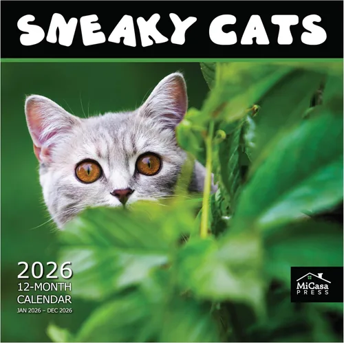 Miniatura 8 de MICASA PRESS Calendario de pared de gatos 2026 de 12 meses 12 x 24 pulgadas abierto Papel grueso y resistente Regalo de vacaciones Lindo