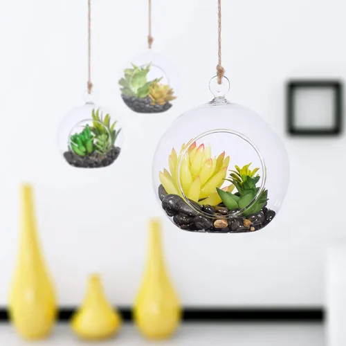 Maceta colgante de vidrio redonda para colgar en terrario, decoraciones para suculentas Tillandsia, portavelas, decoraciones de boda y exhibición,