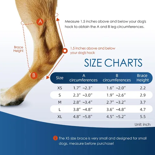 Miniatura 7 de Rodillera para perro para pierna trasera desgarrada ACL, soporte de articulación de corvejón trasero canino, protección contra lesiones articulares