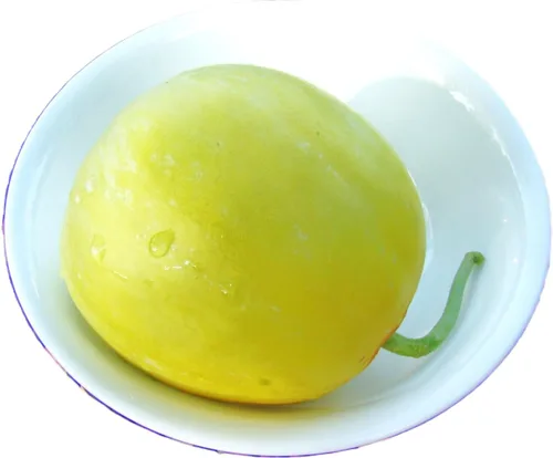 Miniatura 4 de TomorrowSeeds - Semillas de melón asiático dulce de Sakata - Más de 50 unidades - Para plantar Conomon japonés japonés de pared delgada melón blanco